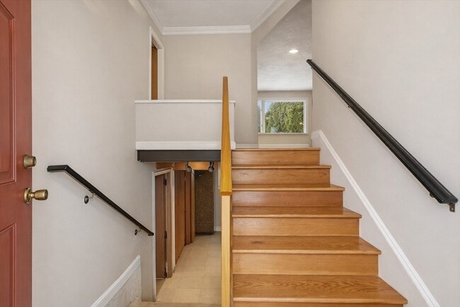 105 Pomeroy Ln in Amherst, MA - Building Photo - Building Photo