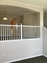 1530 Chimney Peak Dr in Castle Rock, CO - Building Photo - Building Photo