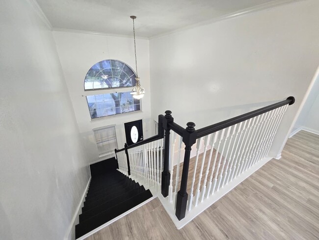 6007 Bassetdale Ln in Houston, TX - Building Photo - Building Photo