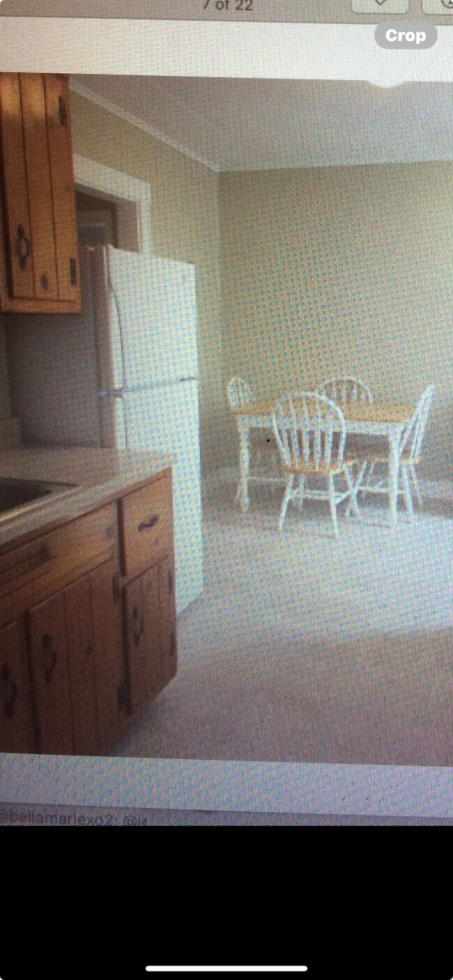 805 Flemington St, Unit 2 in Pittsburgh, PA - Foto de edificio - Building Photo