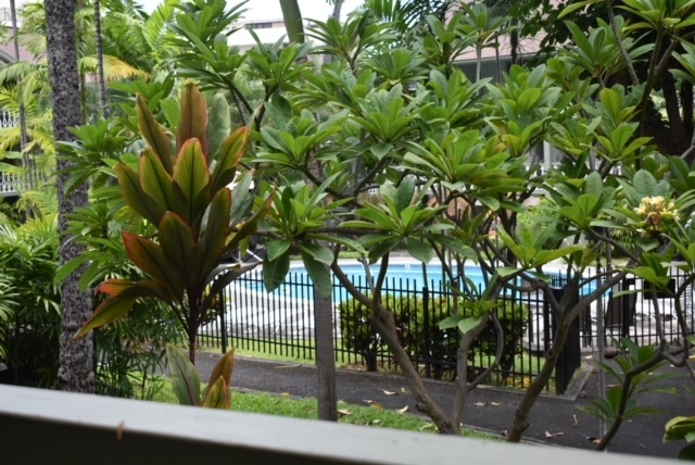 75-5766 Kuakini Hwy, Unit 102-203 in Kailua Kona, HI - Building Photo