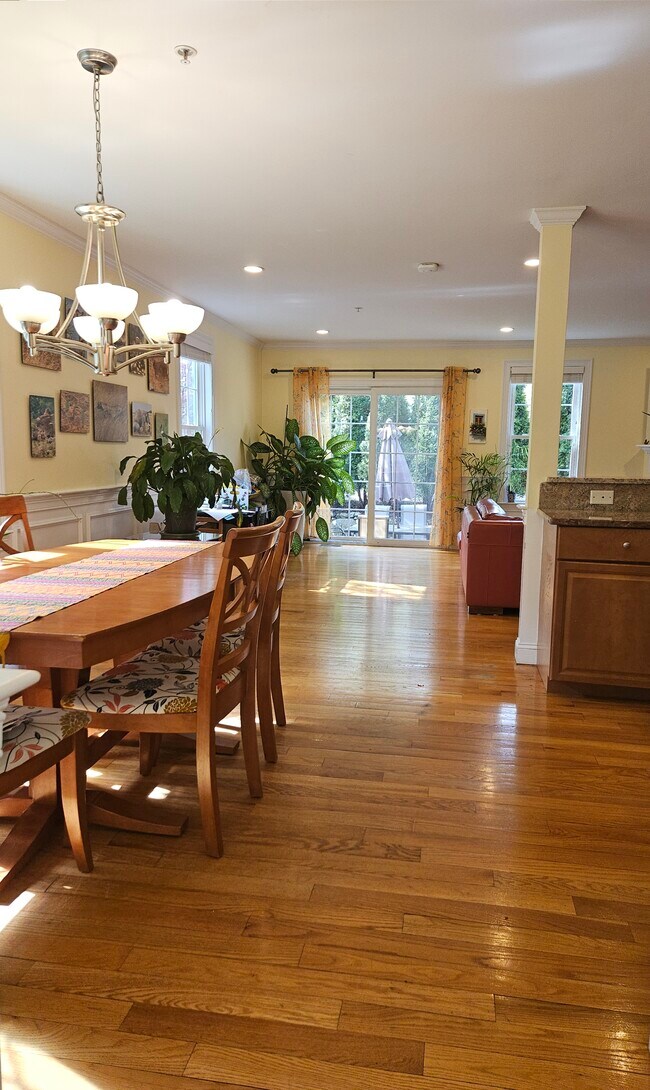 19 Lawndale St in Belmont, MA - Building Photo - Building Photo