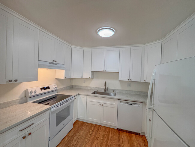 381 Locust Ave in San Rafael, CA - Building Photo - Building Photo