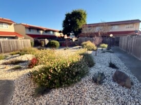 79 Avram Ave in Rohnert Park, CA - Building Photo