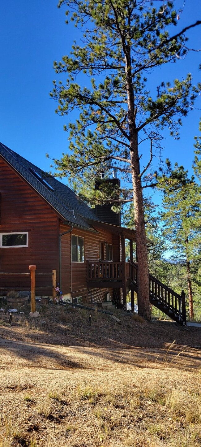 789 Blackhawk Creek Dr in Florissant, CO - Building Photo - Building Photo