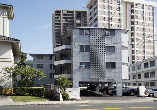 Wilder Hale in Honolulu, HI - Building Photo - Building Photo