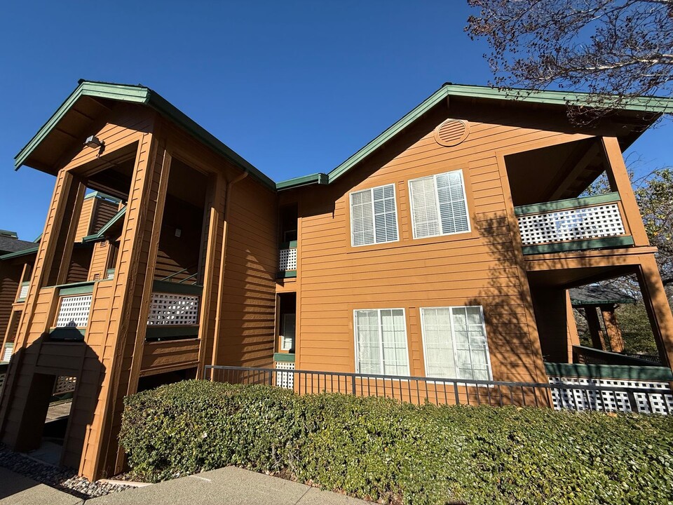 110 Stone Pine Ln in San Ramon, CA - Building Photo