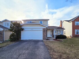 1013 Meadow Lake Dr in Palatine, IL - Building Photo