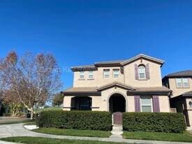 297 Emory Oak Pl in Lathrop, CA - Building Photo