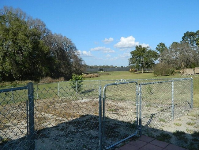 15923 Co Rd 450 in Umatilla, FL - Building Photo - Building Photo