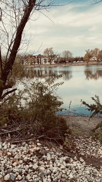 Magnolia Lake Apartments