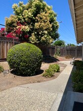 1646 Corte de Medea in San Jose, CA - Building Photo - Building Photo