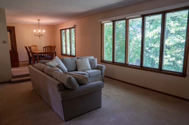 593 Rice Creek Ter NE in Fridley, MN - Foto de edificio - Building Photo