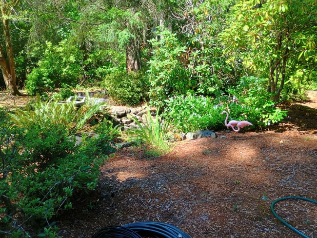8008 149th St NW in Gig Harbor, WA - Building Photo - Building Photo