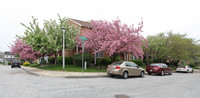 Alameda Place in Baltimore, MD - Foto de edificio - Building Photo