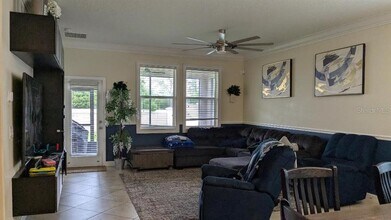 13152 Green Violet Dr in Riverview, FL - Building Photo - Building Photo