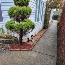 14164 SE Bush St in Portland, OR - Building Photo - Building Photo
