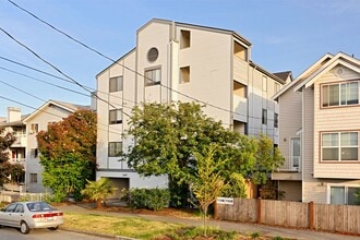 Oak Tree in Seattle, WA - Building Photo - Building Photo