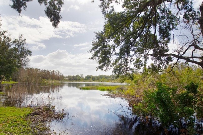 2201 Fletchers Point Cir in Tampa, FL - Building Photo - Building Photo
