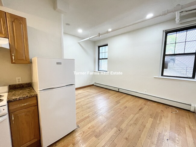 204 Hemenway St, Unit 32 in Boston, MA - Building Photo - Building Photo