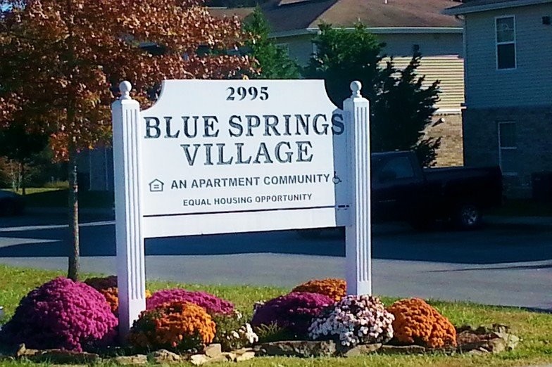 Blue Springs Village Apartments in Greeneville, TN - Foto de edificio