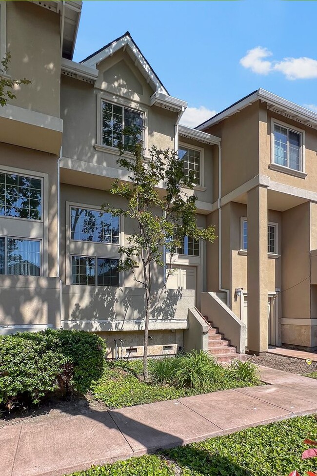 562 Lambert Terrace