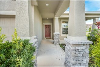 11818 Tetrafin Dr in Riverview, FL - Building Photo - Building Photo