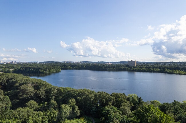 Homes for rent in Cambridge, MA