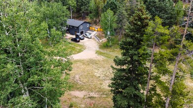 6910 Brook Forest Dr in Evergreen, CO - Building Photo - Building Photo