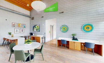 Palo Verde in Austin, TX - Building Photo - Building Photo