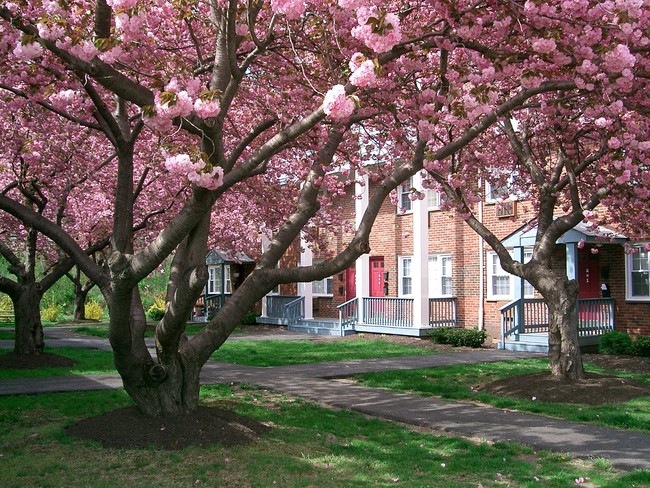 Lawrenceville Gardens in Trenton, NJ - Building Photo - Building Photo