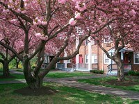 Building Photo - Lawrenceville Gardens Apartments in Trenton, New Jersey
