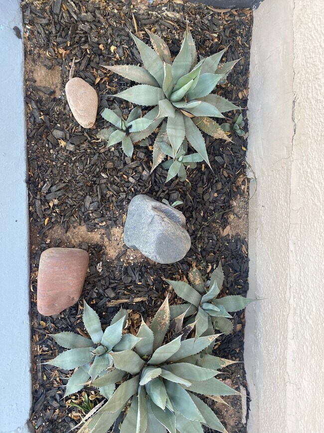 8461 W Washington St in Peoria, AZ - Building Photo - Building Photo