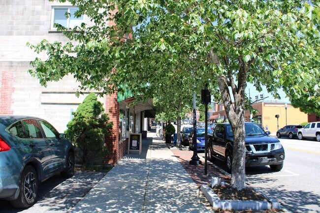 84 E Main St in Brevard, NC - Building Photo - Building Photo