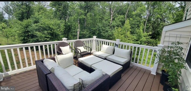 135 Briarwood Ln in Montgomeryville, PA - Building Photo - Building Photo