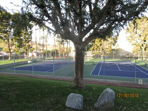 48728 Desert Flower Dr, Unit 48728 in Palm Desert, CA - Building Photo - Building Photo
