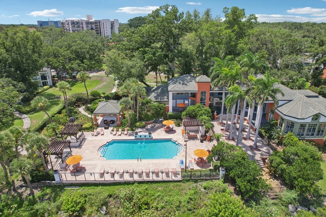 Bayside Arbors of Clearwater in Clearwater, FL - Building Photo - Building Photo