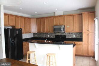 43579 Wheat Berry Terrace in Chantilly, VA - Building Photo - Building Photo