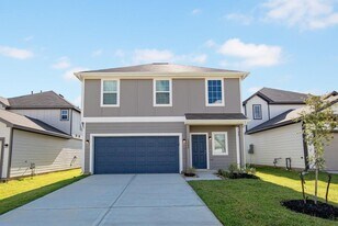 13308 Burbot Dr in Shenandoah, TX - Building Photo