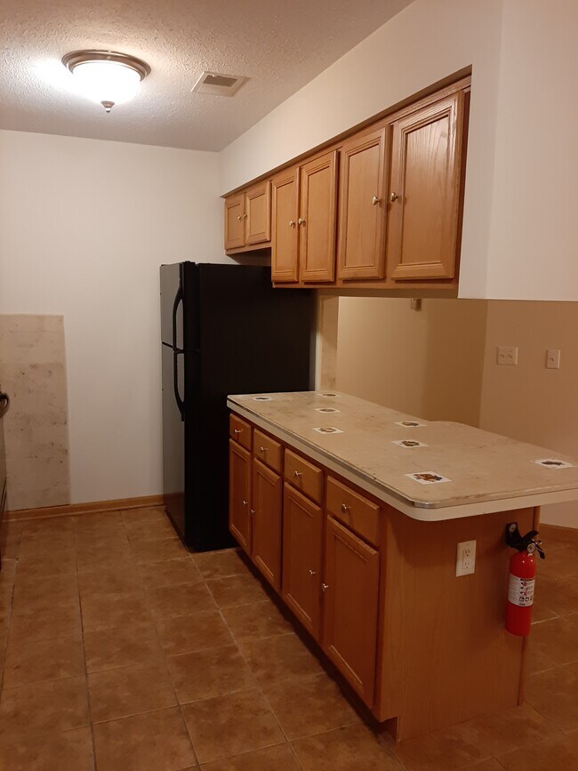 9666 Sawgrass Ct Rentals in Belleville, MI