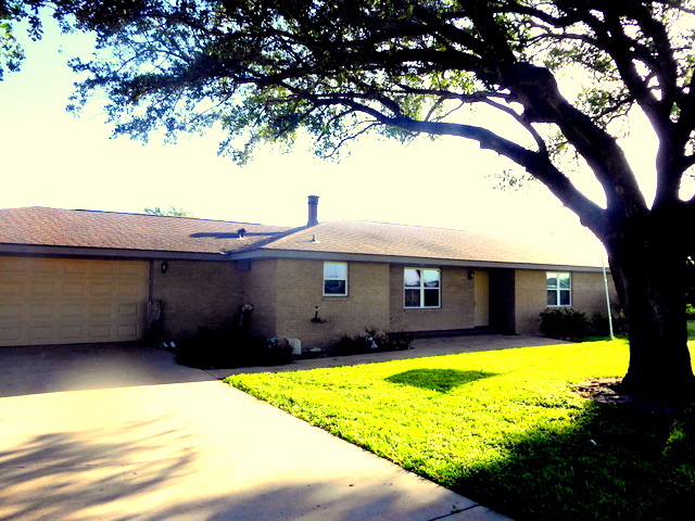 820 El Dora Rd in Alamo, TX - Building Photo - Building Photo