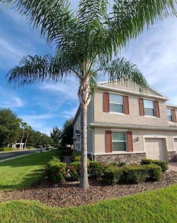 26722 Juniper Bay Dr in Wesley Chapel, FL - Building Photo