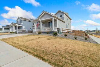 902 Hummocky Wy in Windsor, CO - Building Photo - Building Photo