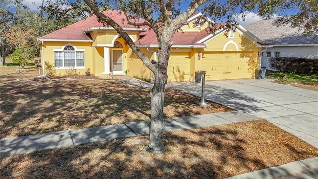 16829 Midsummer Ln in Shady Hills, FL - Building Photo - Building Photo