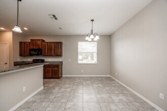 21018 Picket Fence Ct in Land O Lakes, FL - Building Photo - Building Photo