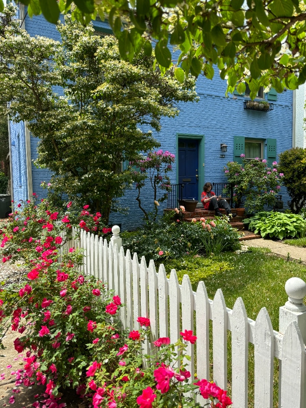 property at 4514 Albemarle St NW
