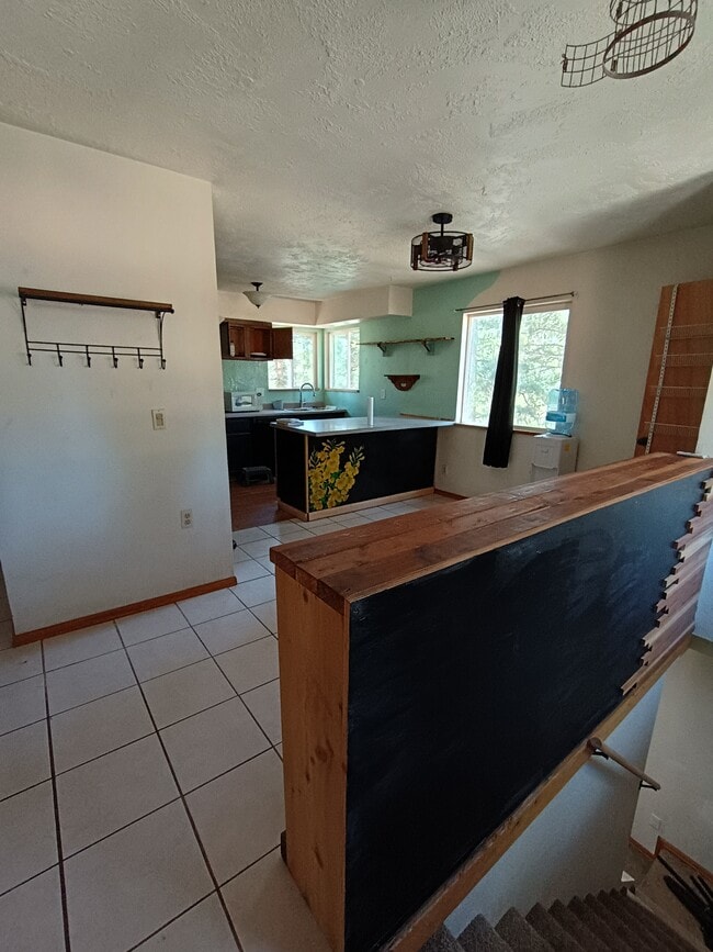 420 Kutsu Ridge Rd in Florissant, CO - Building Photo - Building Photo