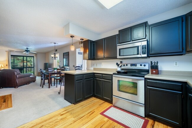 49 Lake Dr in Hendersonville, NC - Building Photo - Building Photo