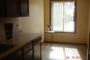 80 S Pleasant Rd, Unit second in Lake Zurich, IL - Building Photo