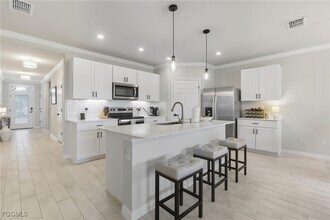 20276 Camino Torcido Lp in North Fort Myers, FL - Building Photo - Building Photo